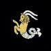 Capricorn Motif Embroidered Velvet Slipper - Image 2