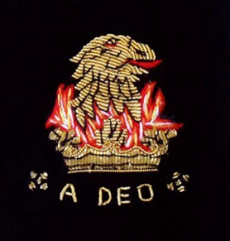 Family Crest Velvet Cushion - Image 4
