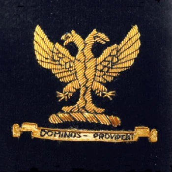 Family Crest Velvet Cushion - Image 6