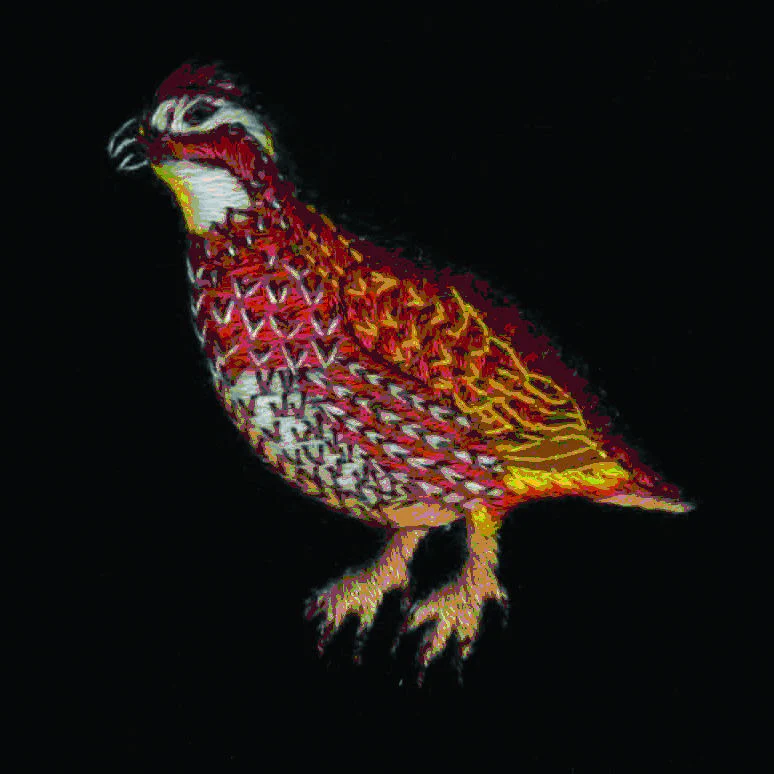 Quail Motif Embroidered Velvet Slipper