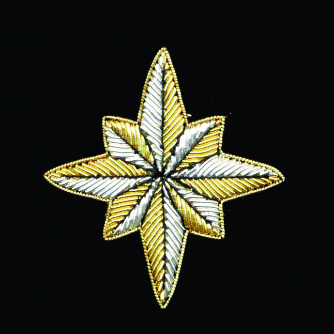 Star Motif Embroidered Velvet Slipper
